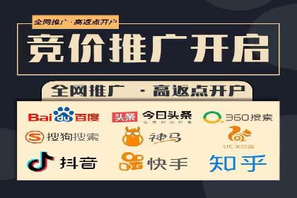SEM代运营案例分析：精准投放策略解析